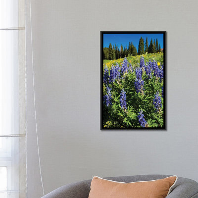 «Wildflowers Growing in a Field, Crêté Butte, Colorado, États-Unis», reproduction de photo sur toile