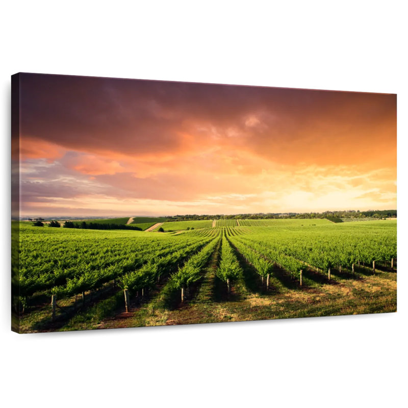 Alvord Vineyard Sunset Horizon, H 16 po x l 24 po