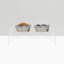 Medium Clear Double Pet Feeder with Black Bowls-1356813951