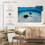 Raie sous l'eau Crowle-111838828