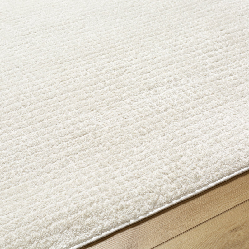 Tapis de couleur unie en polyester tissé à la machine Arny, Rectangle 5 pi 3 po x 7 pi