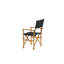 Padma Patio Dining Armchair with Cushion