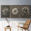 «Blossfeldt Flower I», ensemble de 3 reproductions de photos sur toile-407649726-407649712