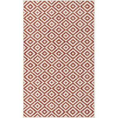 Geometric Indoor / Outdoor Area Rug
