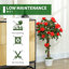 Set of 2 artificial plants rose floral in Pot-135948708