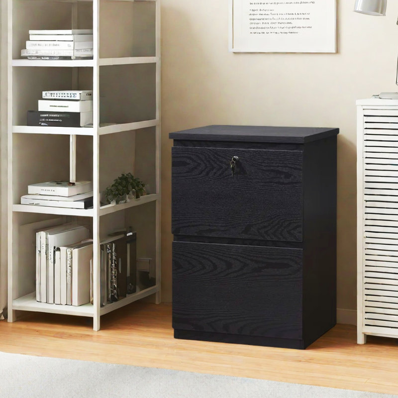 19'' Wide 2 -Drawer File Cabinet, Black
