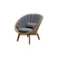 Peacock Solid Wood Patio Dining Armchair with Cushion-56109776-56178190