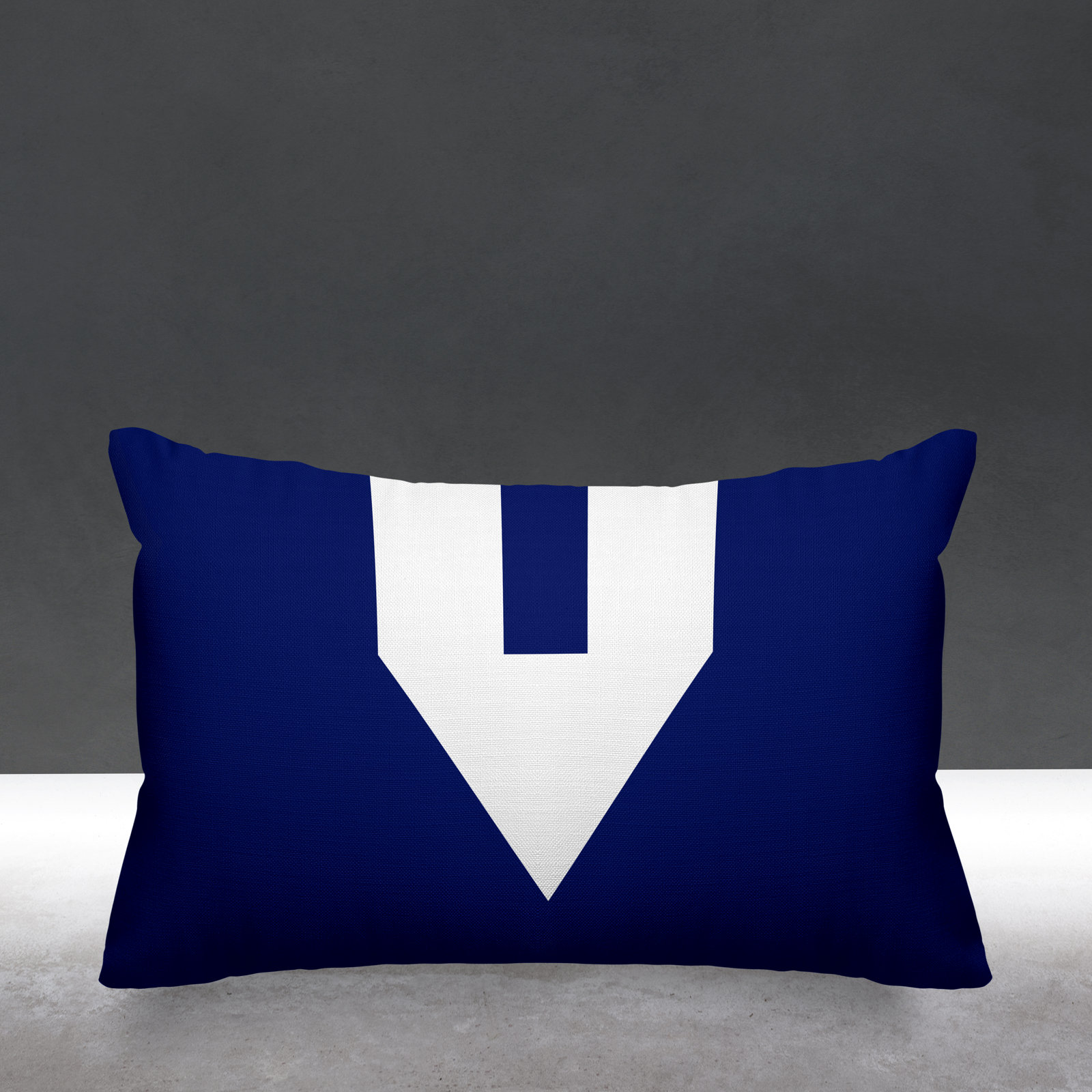 Luella Geometric Indoor/Outdoor Lumbar Throw Pillow, Navy Blue