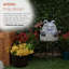 Statue de jardin grenouille 24 "avec libellule H
