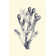 Indigo Kelp II by Vision Studio - Wrapped Canvas Graphic Art