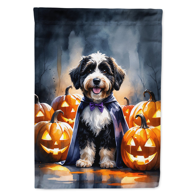 Drapeau de jardin chiot Halloween, Bernedoodle