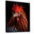 Black Floater Framed