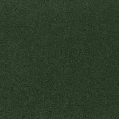 Canyon Leather Wallpaper