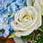 Wedding Arch Flowers 36In Artificial Floral Arch Swag - Full Wedding Backdrop Flowers For Ceremony Aisle Reception, Reusable Faux Wedding Decorations For Outdoor Indoor