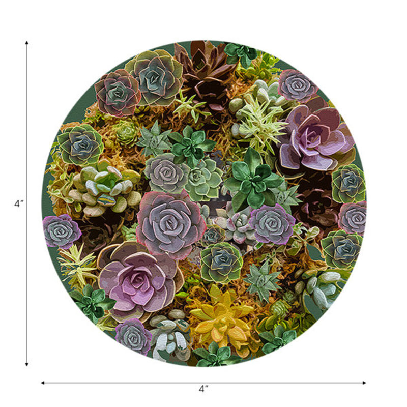 Sous-verres Succulents Evergreen, Evergreen