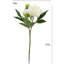 Artificial Cream Peony Stems