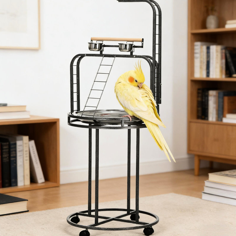 Support à oiseaux avec 3 échelles, crochet et perchoir Easy Grip, gris - idéal pour, etc. Couleur. Perroquets appropriés,. Disque en acier inoxydable, plateau amovible. L 25,2 po x H 63 po x L 27,2 po