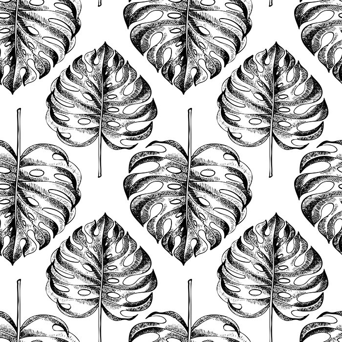 Phylicia Matte Peel and Stick Mural, 250 x 250cm