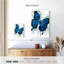 Papillon Brampt Beach-108246318