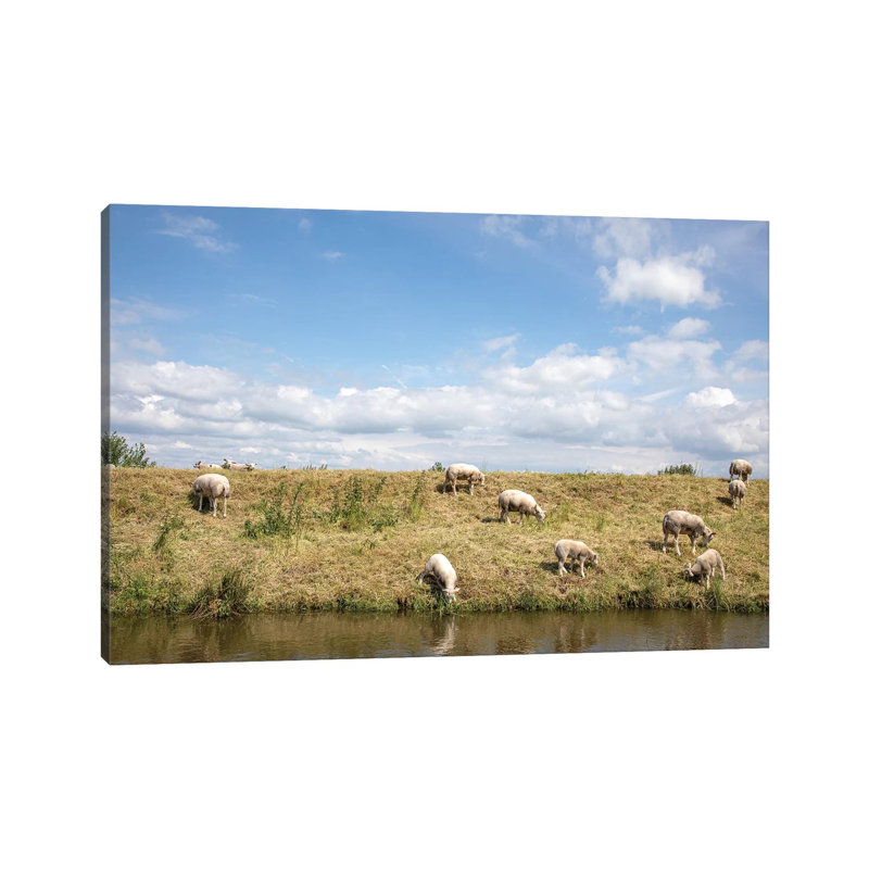 Grazing Sheep by Clara Bastian - Wrapped Canvas Print, 66.04 cm H x 45.72 cm W x 3.175 cm D