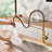 Bolden CASAINC 1.8 GPM Spring Neck Pull Down Kitchen Faucet with Deck Plate-93965517