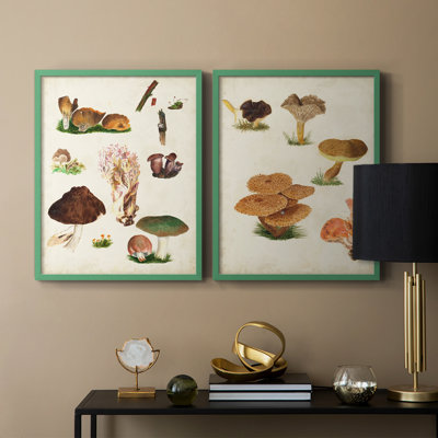 Mushroom Species IX-Premium Framed Print -Ready to Hang - No Nails Required - No Nails Required