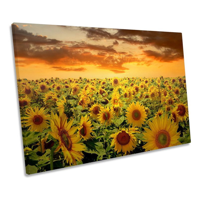 Sunflowers Sunset Floral - Wrapped Canvas Print, 40.6cm H x 61cm W x 2cm D