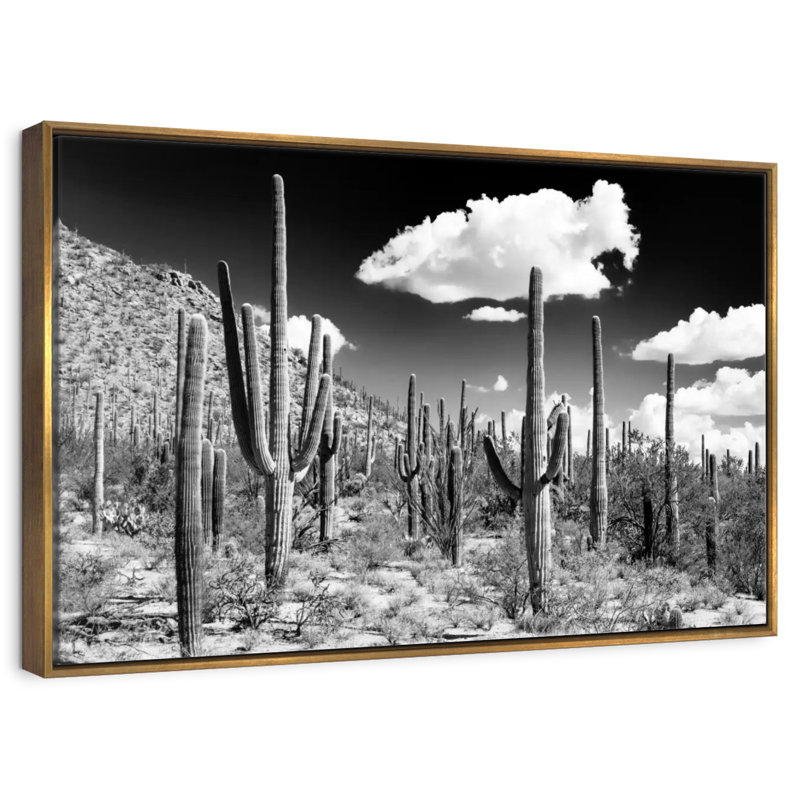 Arizona noir - forêt de cactus, Cadre flottant doré, 31 po x 21 po