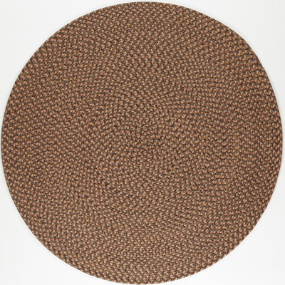 Elsner Indoor / Outdoor Rug