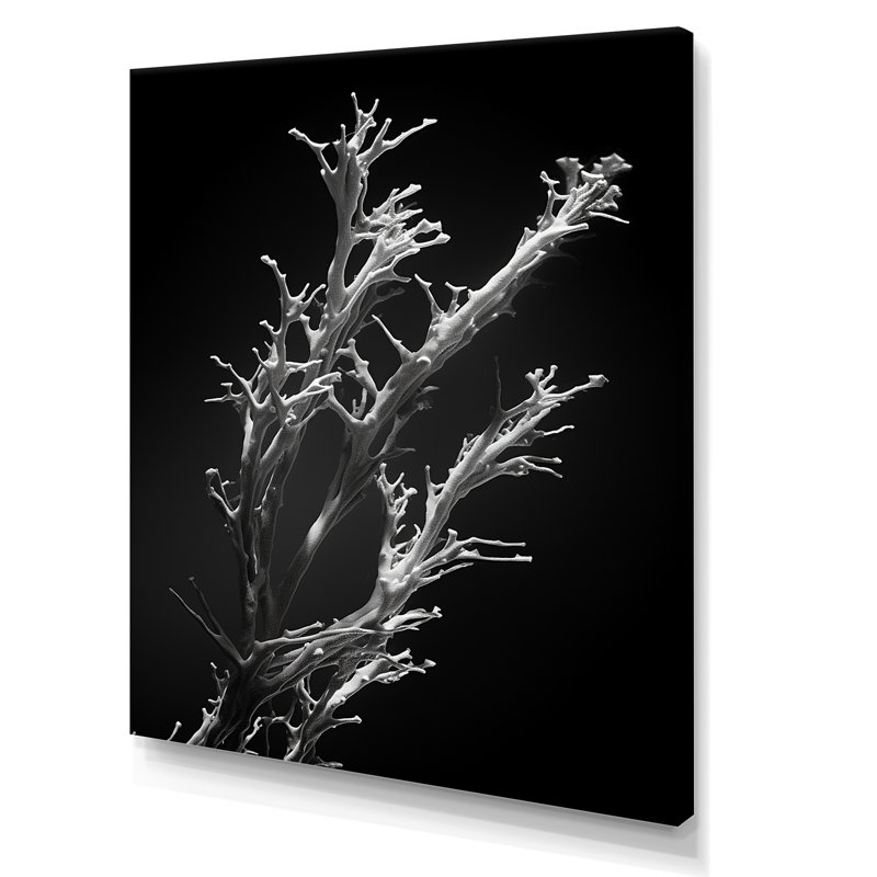 «Black and White Coral Plant - Beach & Ocean», reproduction sur toile, H 20 po x l 12 po x P 1 po, Toile tendue