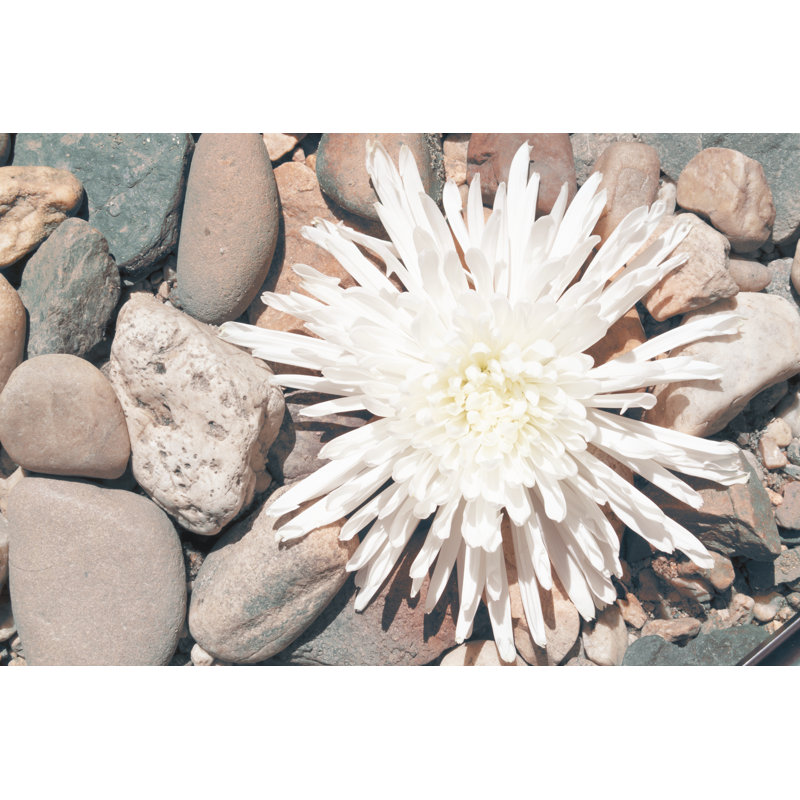 Pebble Beach II by Jason Johnson - Wrapped Canvas Print, 51 cm H x 76 cm W, Black Floater Framed