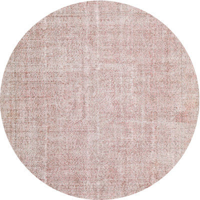 Janete Oriental Indoor Rug