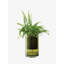Balcony Round Glass Planter-1766314224