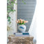 Ensemble de 2 pots Dorcus