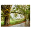 «Wet Path» par Danny Head - reproduction de photo sur toile-1332084201