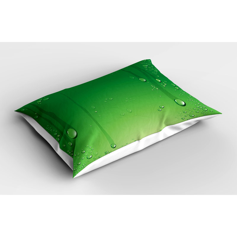 Ensemble de 2 taies décoratives Ambesonne Green, H 20 po x l 30 po