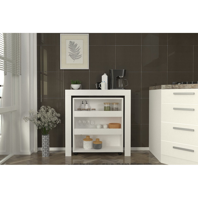 Miguell Multi Purpose Cabinet