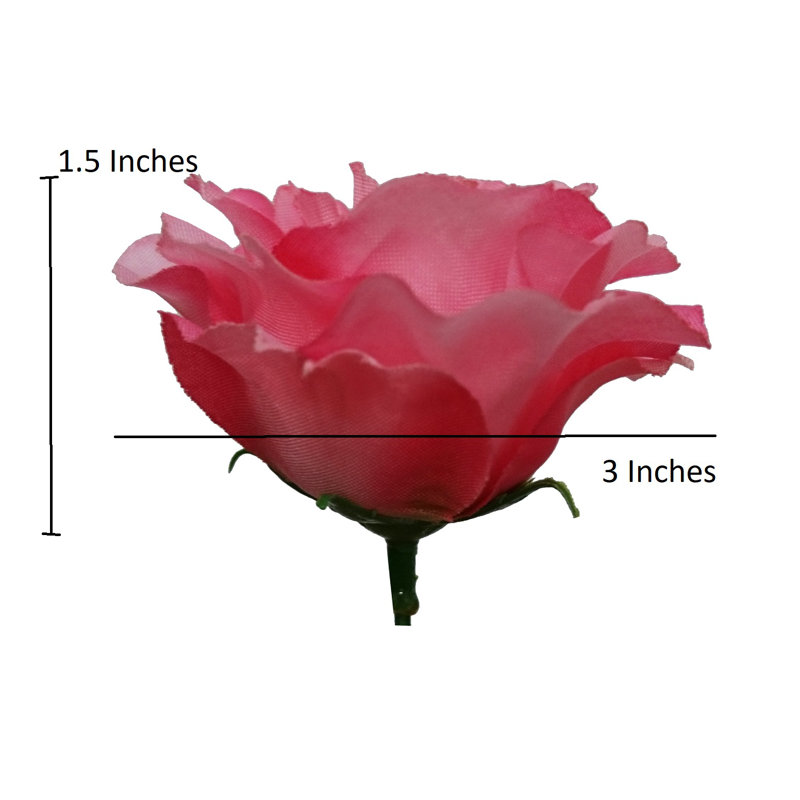 18 fleurs roses en pleine floraison, Violet / rose