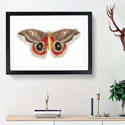 Automeris Moth by George Shaw - Framed Print