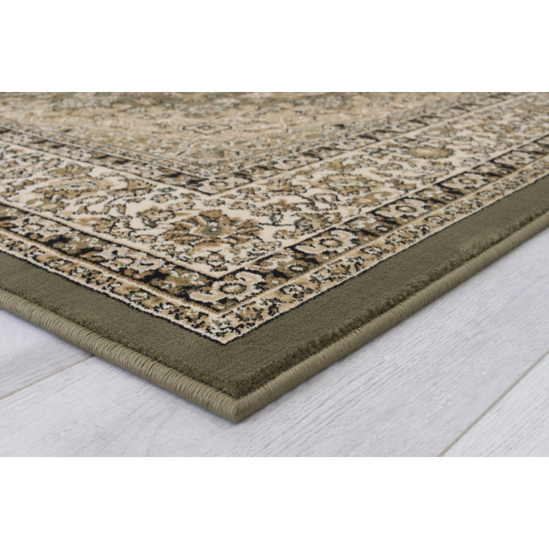 Oriental Area Rug in Green/Brown