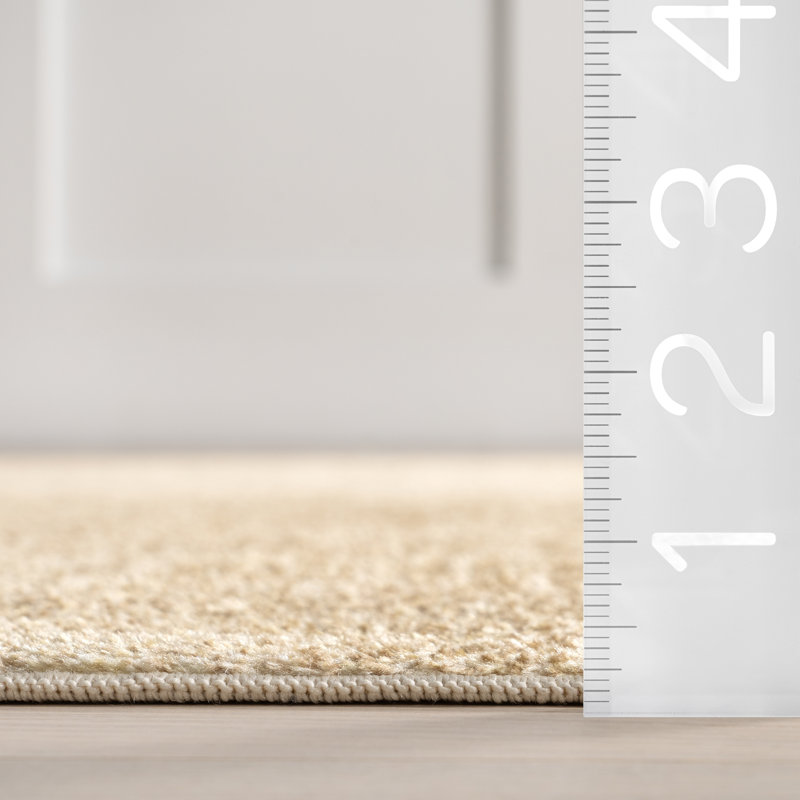 Argelia Solid Machine Washable Area Rug, Runner 2'5" x 8'
