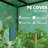 Walk-In Portable Greenhouse Small Greenhouse For Outdoors With UV-Resistant PE Cover, 6.6' X 2.5' X 5.6' Green