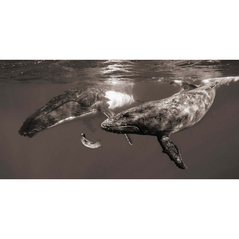2MR5896 The Daughter Of The Sea by Marc Moreau - Wrapped Canvas Art Prints, 60cm H x 120cm W x 4cm D