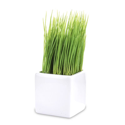 24cm Faux Evergreen Grass in Pot
