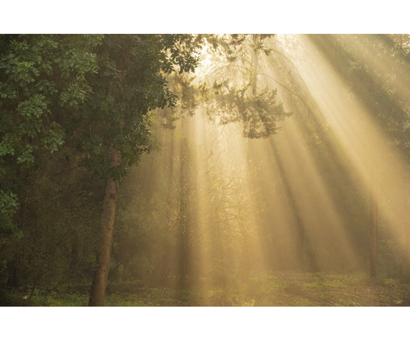 Wrapped Canvas Print, 81.28 cm H x 121.92 cm W