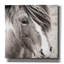 Winston Porter 'Elska 3 Bw' by Laura Marshall Canvas Wall Art, 18" x 18"-531061210