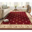 Tapis traditionnel rouge Dezerey-99470825
