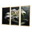 Gros plan d'une fleur de lys blanc - ensemble d'art mural lys-108459170-108459175