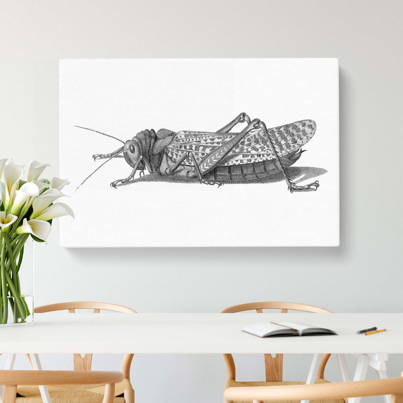 Cricket In Black And White by George Shaw - Wrapped Canvas Painting, 50cm H x 76cm W x 3cm D
