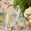 Delmara Hurricane Candle Holder